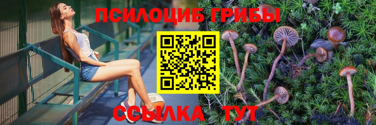 что такое   Вход с VPN  Галлюциногенные грибы Cubensis  Казань  Псилоцибиновые грибы GOLDEN TEACHER 
